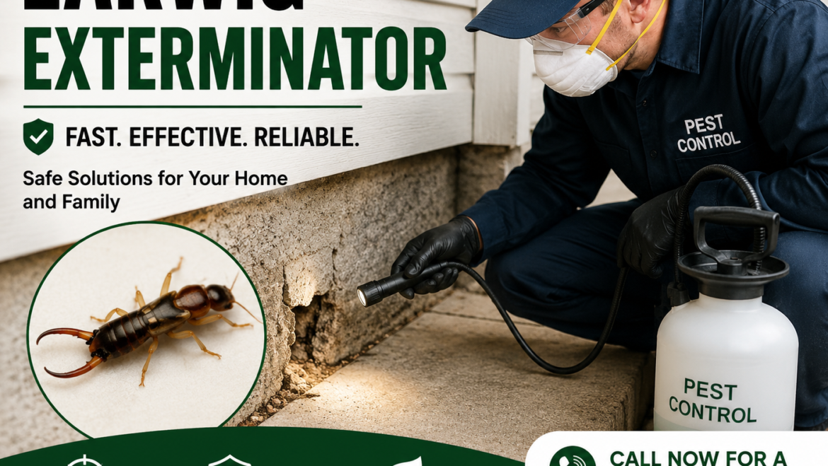 Guide complet sur l’exterminateur de perce-oreilles pour une gestion efficace des nuisibles à la maison