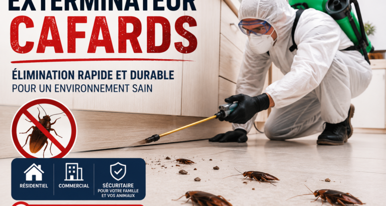 Solutions Professionnelles d’Exterminateur Cafards pour Tous Types d’Infestations 